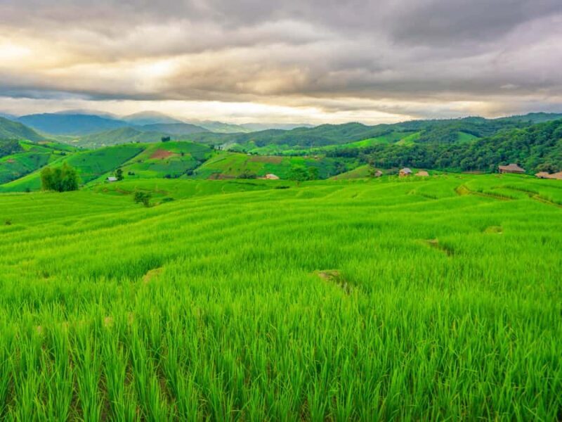 Chiang Mai: 3-Day Karen Hill Tribe Immersion with Trekking - Who Will Love This Tour?