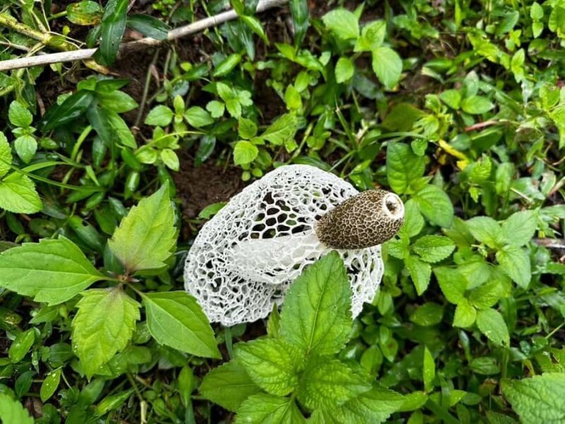 Chiang Mai: 3-Day Private Karen Village Trek - Authentic Experiences from Reviewers