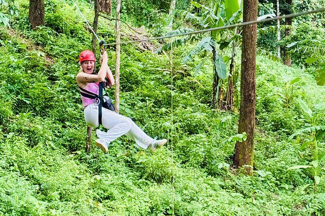 Chiang Mai 3 in 1 Zipline, Elephants and Sticky Waterfall - What the Tour Offers: A Full Breakdown