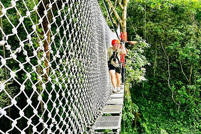Chiang Mai 3 in 1 Zipline, Elephants and Sticky Waterfall - A Closer Look at the Tour Experience