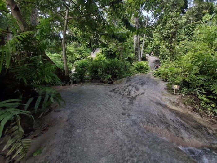 Chiang Mai: 4-Hour Sticky Waterfall Private Tour - Customer Reviews