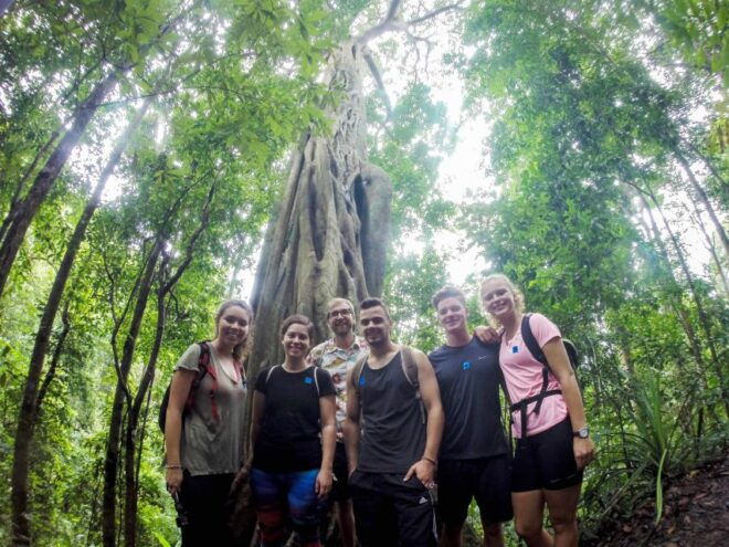 Chiang Mai: 6-Hour Doi Pui National Park Summit Hike - Live Tour Guide