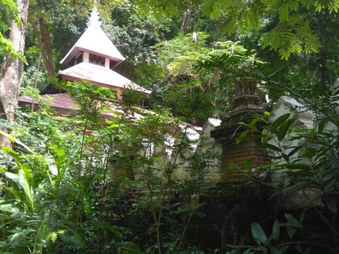 Chiang Mai: 6-Hour Doi Pui National Park Summit Hike - Review Summary