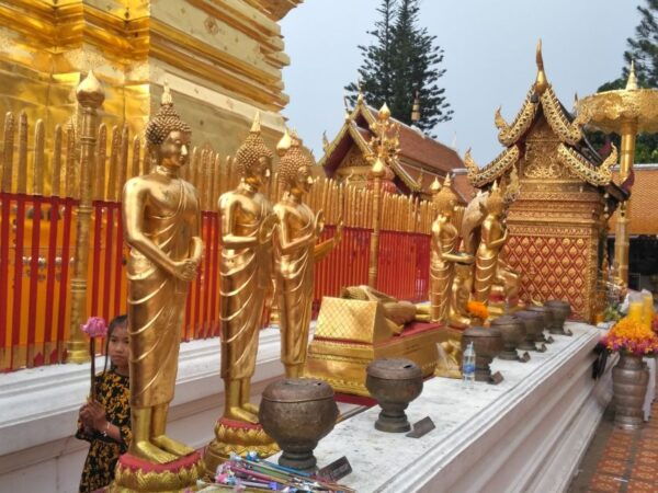 Chiang Mai: 6-Hour Doi Pui National Park Summit Hike - What to Expect