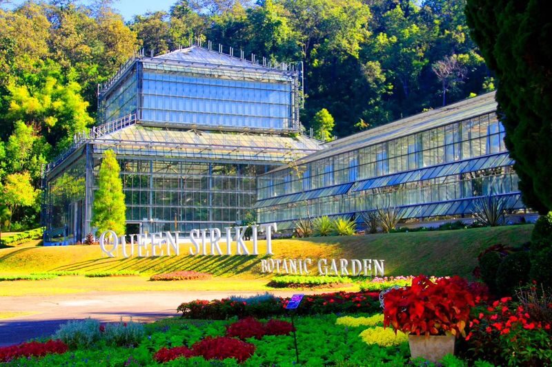Chiang Mai Adventure: Elephant Village & Zipline Coaster(MyProGuide) - 10:30 a.m. among the plants at Queen Sirikit Botanic Garden