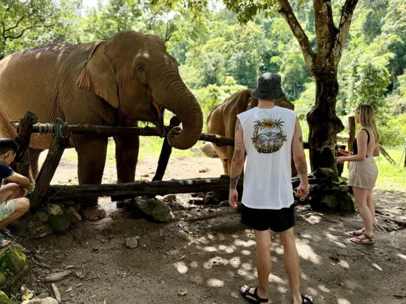 Chiang Mai Adventure: Trekking, Tubing & Waterfall - The Sum Up