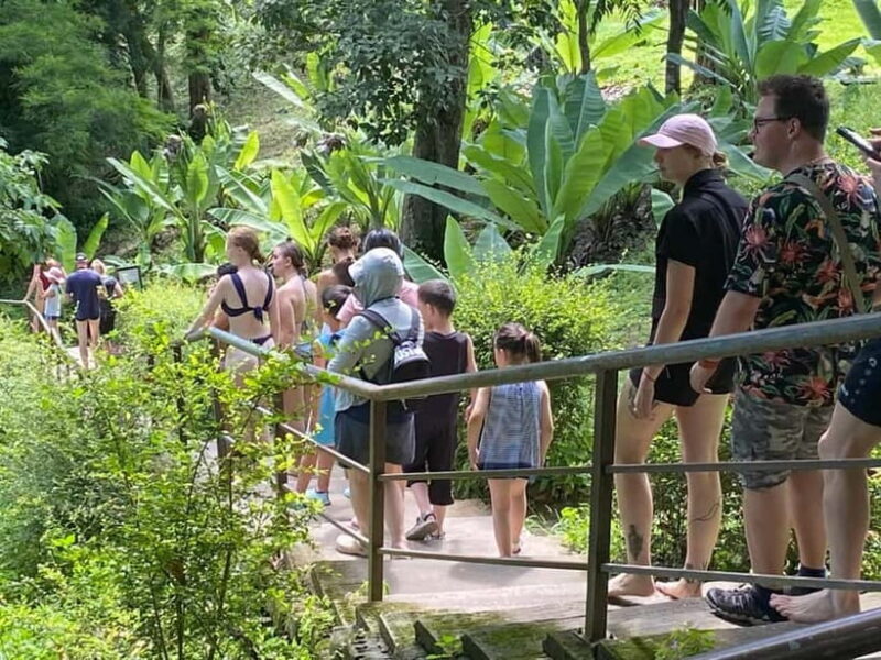 Chiang Mai: Afternoon Bua Tong Sticky Waterfall by Red Taxi - Practical Details and Tips