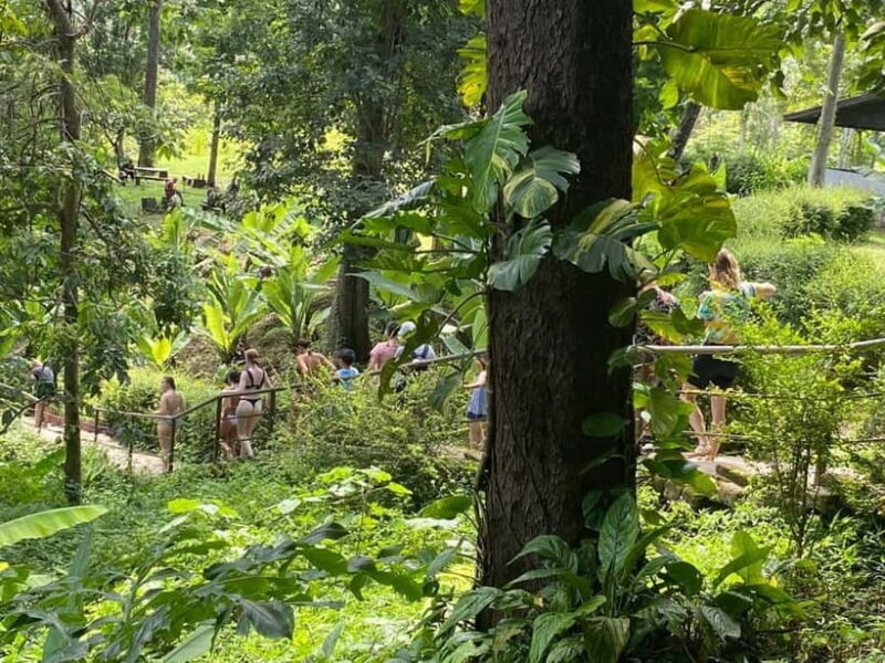 Chiang Mai: Afternoon Bua Tong Sticky Waterfall by Red Taxi - Final Thoughts