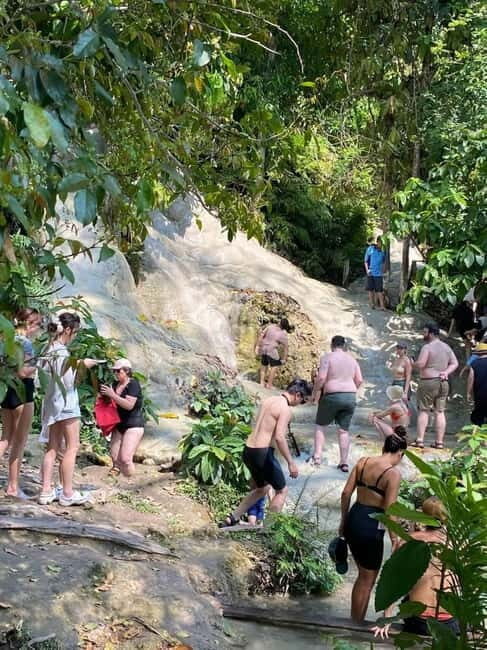 Chiang Mai: Afternoon Bua Tong Sticky Waterfall by Red Taxi - The Itinerary: What to Expect from Start to Finish