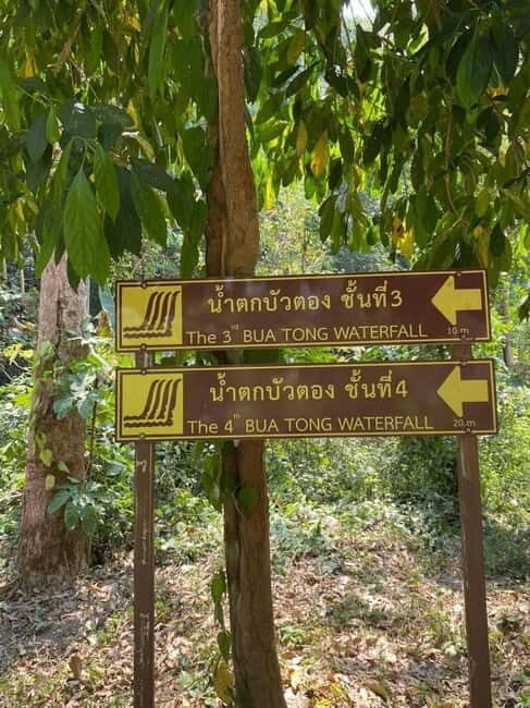 Chiang Mai: Afternoon Bua Tong Sticky Waterfall by Red Taxi - Frequently Asked Questions