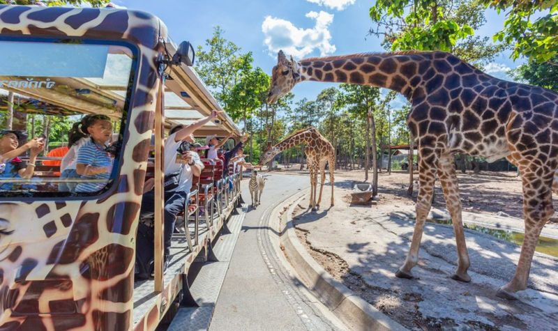 Chiang Mai Afternoon & Night Safari Full-Day Tour - Key points before you go