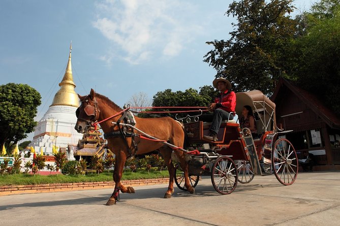 Chiang Mai and Wiang Kum Kam Private Cultural Half-Day Tour - Highlights of the Tour