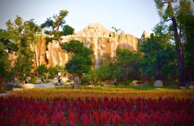 Chiang Mai: Angel Waterfall & Sticky Waterfall & Wat Ban Den - Final Thoughts: Is This Tour Worth It?