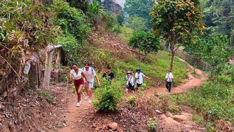 Chiang Mai: ATV Adventure, Jungle Hike & White Water Rafting - The Sum Up: Is This Tour Right for You?