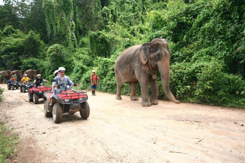 Chiang Mai : ATV Tour - Who Will Truly Enjoy This Experience?