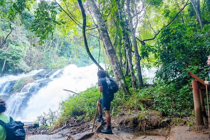 Chiang Mai ATV Tour, Doi Inthanon Trekking, and Elephant Watching - Good To Know