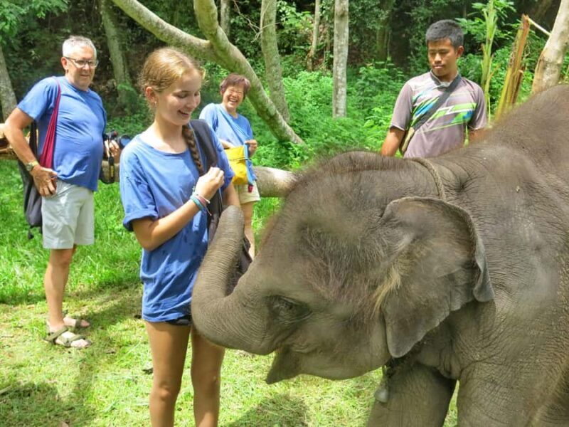 Chiang Mai : ATV Tour + Elephant Care - Safety and Accessibility