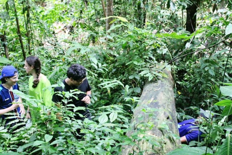 Chiang Mai : ATV Tour + Trekking - The Sum Up