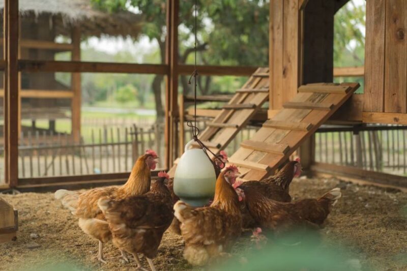 Chiang Mai: Authentic Cooking Class with Market & Farm Visit - FAQs