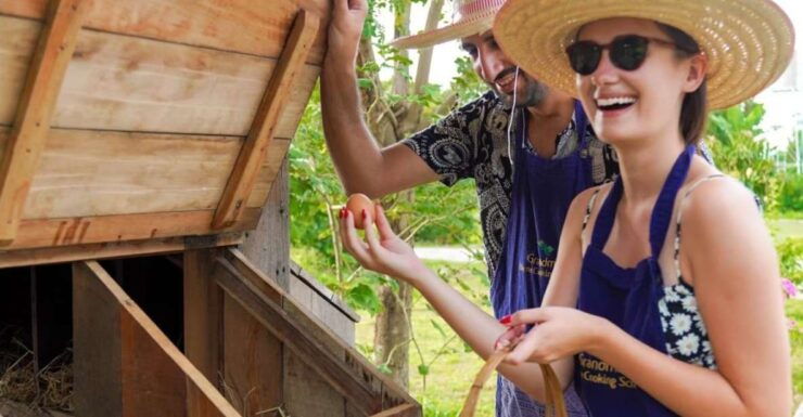 Chiang Mai: Authentic Thai Cooking Class and Farm Visit - Activity Details