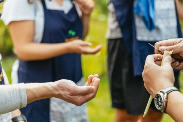 Chiang Mai: Authentic Thai Cooking Class and Farm Visit - The Sum Up