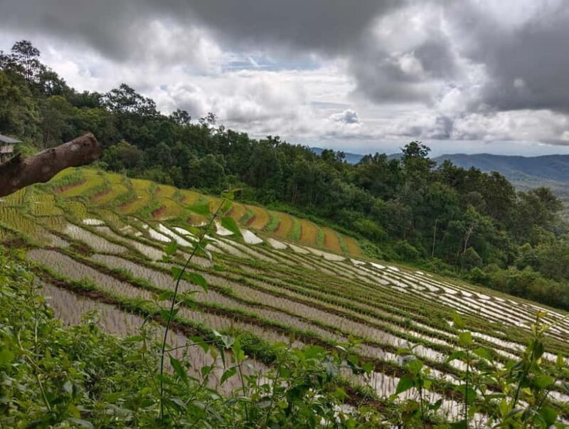 Chiang Mai Authentic Trekking - Practical Tips for Your Trekking Day