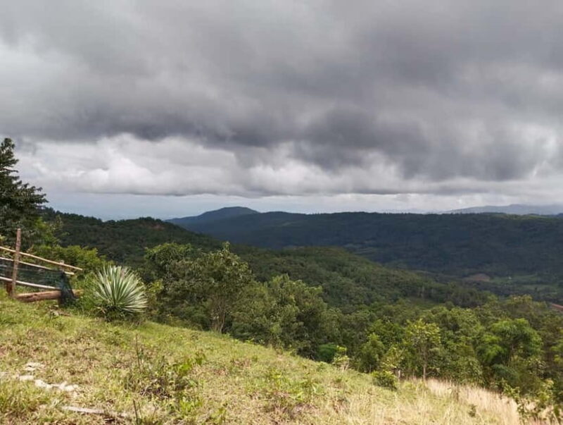 Chiang Mai Authentic Trekking - Final Thoughts: Who Will Love This Experience?