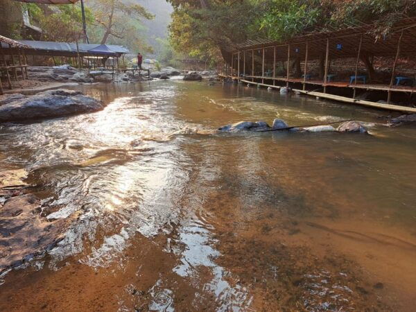 Chiang Mai: Bamboo Rafting and Wat Phra That Doi Kham - What to Expect