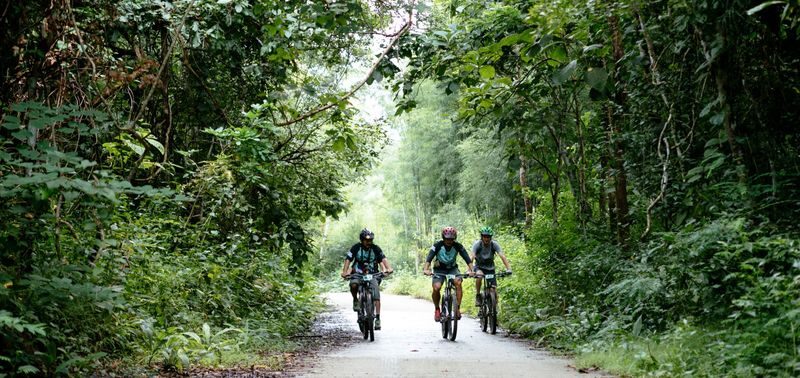 Chiang Mai Biking Day Tour by Trailhead - At a glance