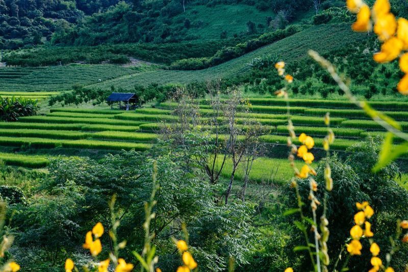 Chiang Mai Biking Day Tour by Trailhead - A full day beyond Chiang Mai’s old city