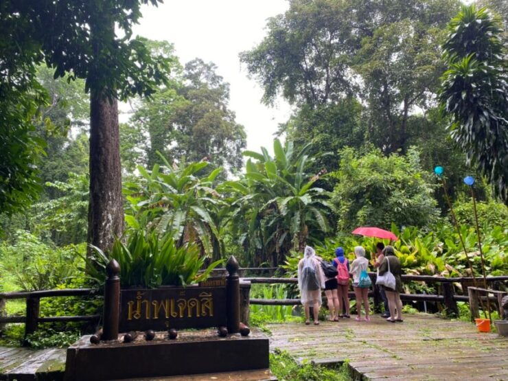 Chiang Mai: Bua Thong Sticky Waterfall Private Half-Day Tour - Good To Know