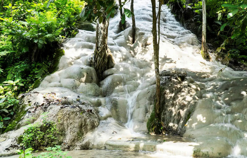 Chiang Mai Bua Thong Waterfalls Half-Day Adventure with Climbing - What the price buys, and what it may not