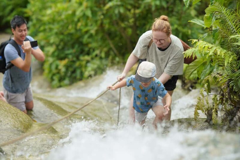Chiang Mai: Bua Tong Sticky Waterfall, Huge Cave,Thai Buffet - Who Should Consider This Tour?