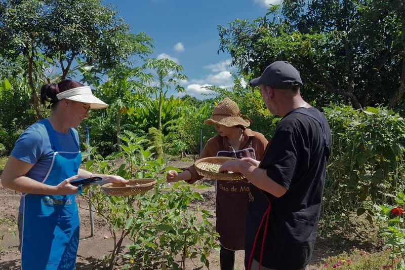 Chiang Mai CASA DE MANGO Full-Day All Inclusive Cooking Class & Elephant Sanctuary Experience - Lunch, fresh herbs, and a hammock break