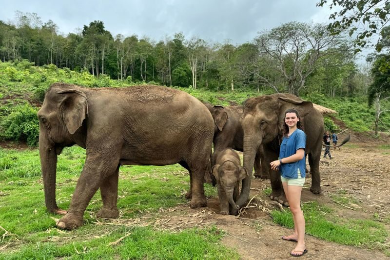 Chiang Mai CASA DE MANGO Full-Day All Inclusive Cooking Class & Elephant Sanctuary Experience - Should you book CASA DE MANGO?
