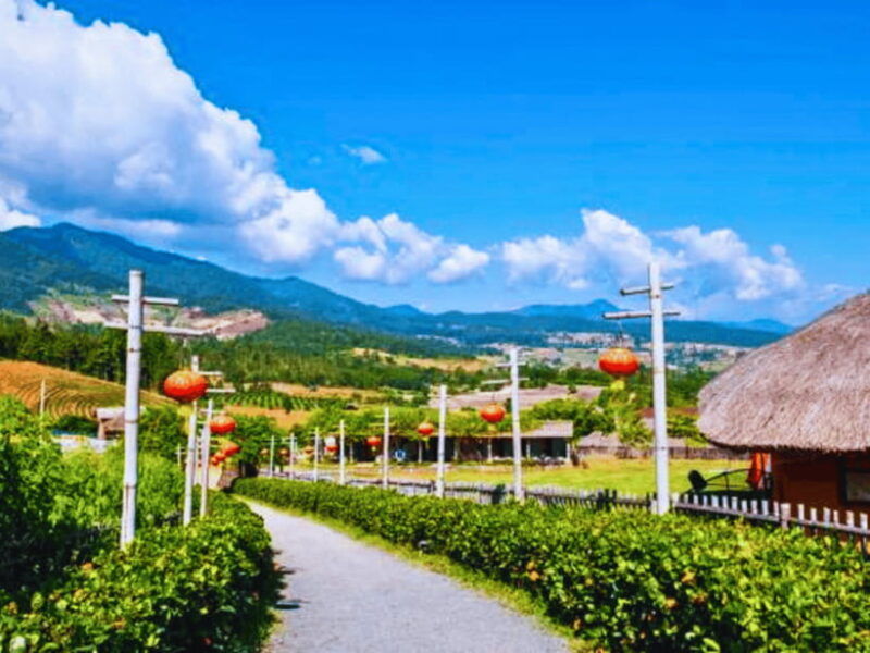 Chiang Mai : Charming Pai in One Day Trip With Driver - Highlights of the Itinerary