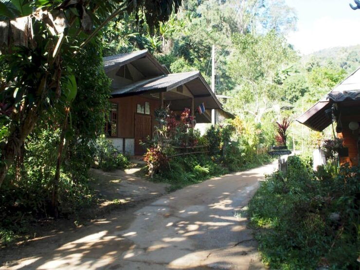 Chiang Mai: Chiang Dao Caves and Jungle Trek With Lunch - Key Points