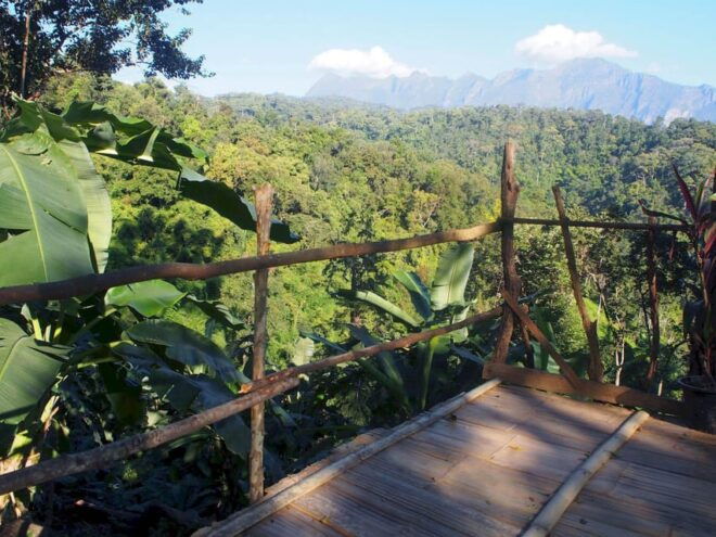 Chiang Mai: Chiang Dao Caves and Jungle Trek With Lunch - Preparation Tips