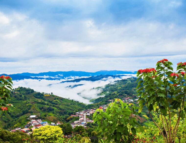 Chiang Mai: Chiang Rai Highlights & Scenic Landscapes Tour - Inclusions