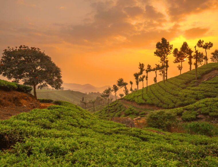 Chiang Mai: Chiang Rai Highlights & Scenic Landscapes Tour - Important Information