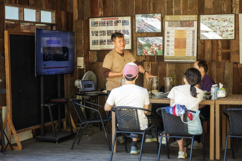 Chiang Mai: Coffee Process & Tasting - From Cherry to Cup - Who should book this experience?
