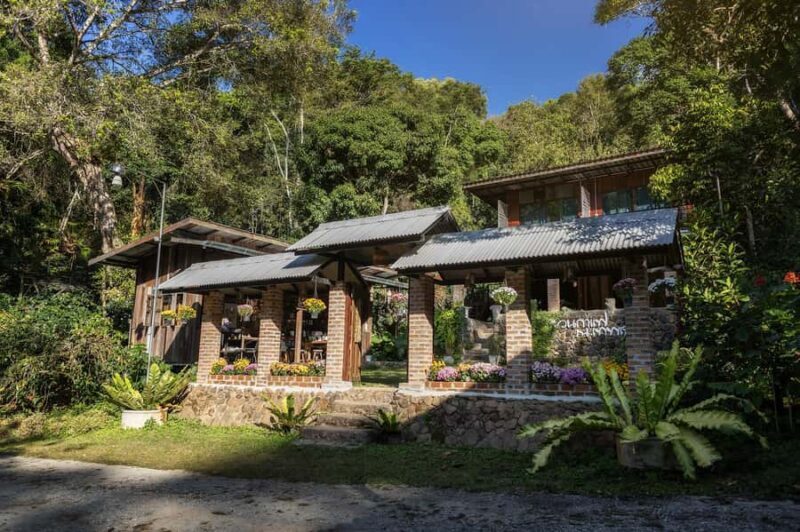 Chiang Mai : Coffee Process & Tasting  From Cherry to Cup - Who Will Love This Tour?