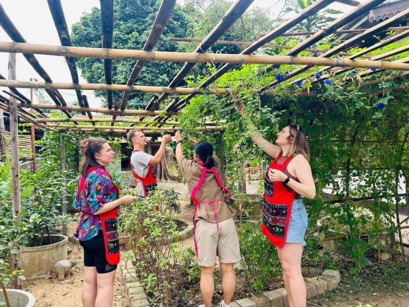 Chiang Mai: Cooking Class, Market and Thai Herbs Garden Tour - Good To Know