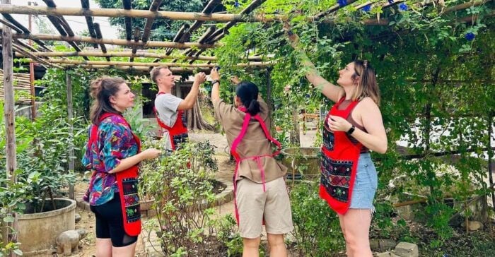 Chiang Mai: Cooking Class, Market and Thai Herbs Garden Tour - Inclusions and Restrictions