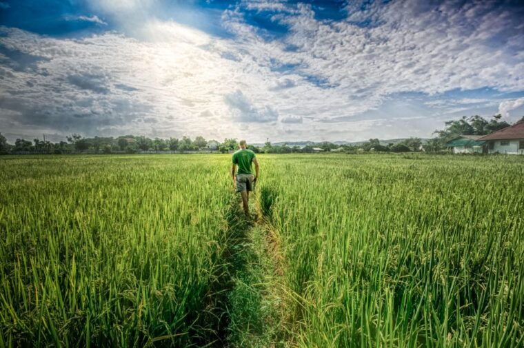 Chiang Mai: Countryside Adventure by Bike - Customer Experiences and Reviews