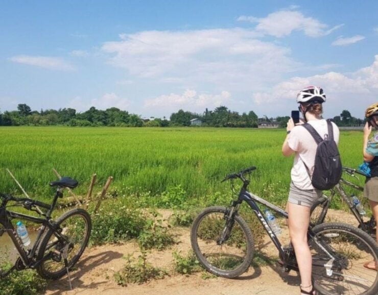 Chiang Mai Countryside Bicycle & Thai Cooking Class - Tour Highlights