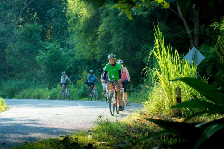 Chiang Mai Countryside E-Bike Ride With Expert Guide & Lunch - Customer Reviews and Ratings