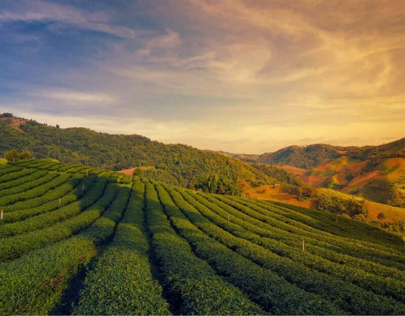 Chiang Mai: Create Your Own Private Chiang Rai Adventure - Who is this tour best suited for?