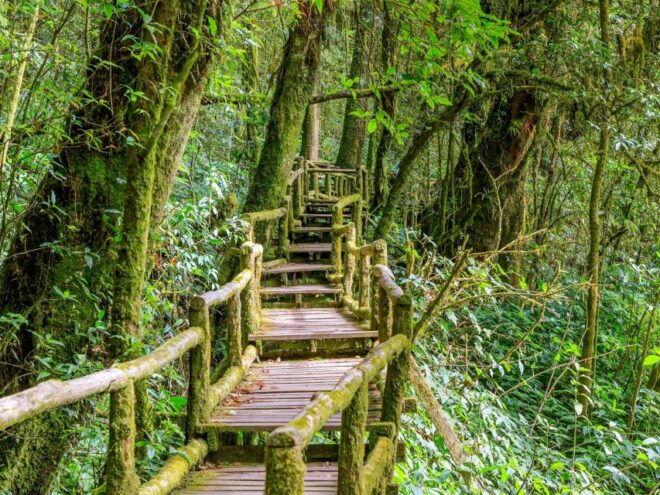 Chiang Mai: Customizable Chiang Mai Surrounding Areas Tour - Visit Sights and Attractions in Greater Chiang Mai Area