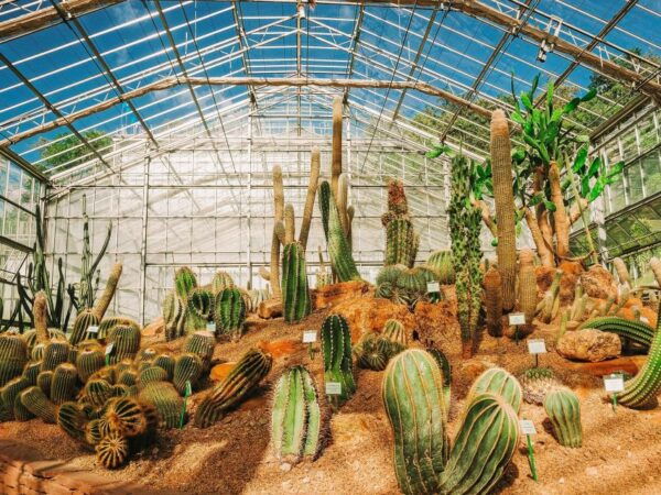 Chiang Mai: Customizable Chiang Mai Surrounding Areas Tour - Choose 3-4 Must-See Sights or Attractions